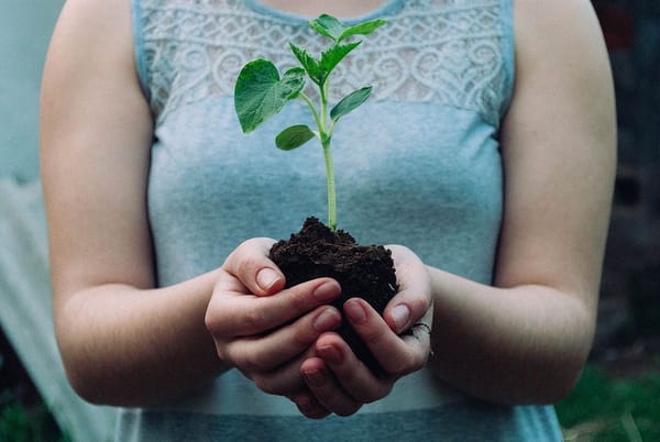 Grow Your Environmental Impact with a Financial Habit Refresh